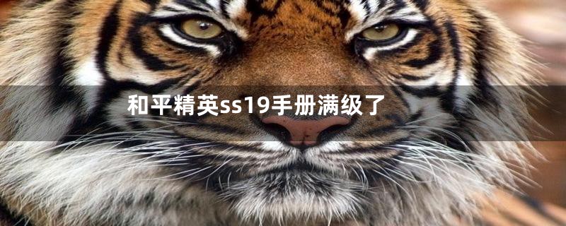 和平精英ss19手册满级了