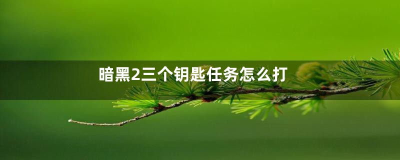 暗黑2三个钥匙任务怎么打