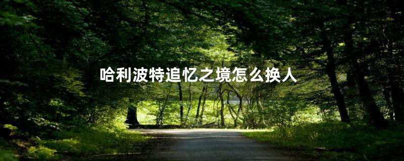 哈利波特追忆之境怎么换人