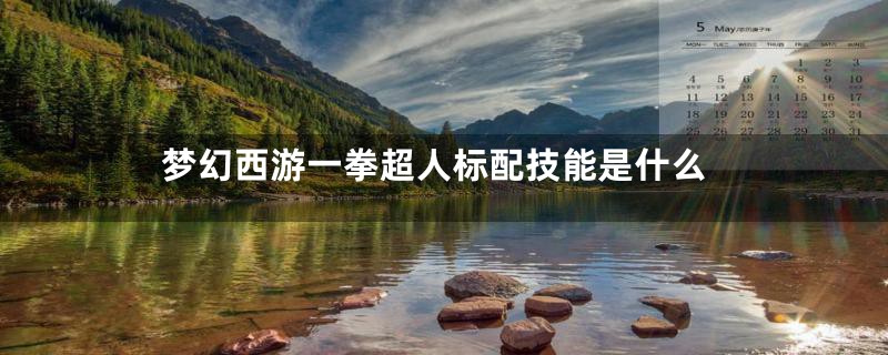 梦幻西游一拳超人标配技能是什么
