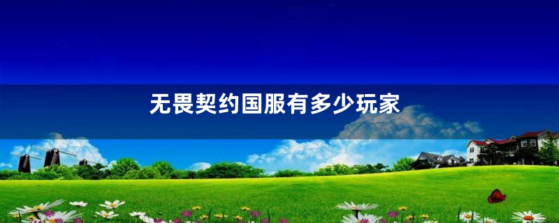 无畏契约国服有多少玩家