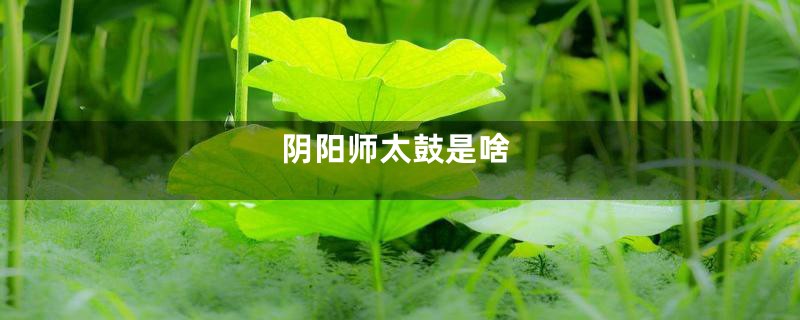 阴阳师太鼓是啥