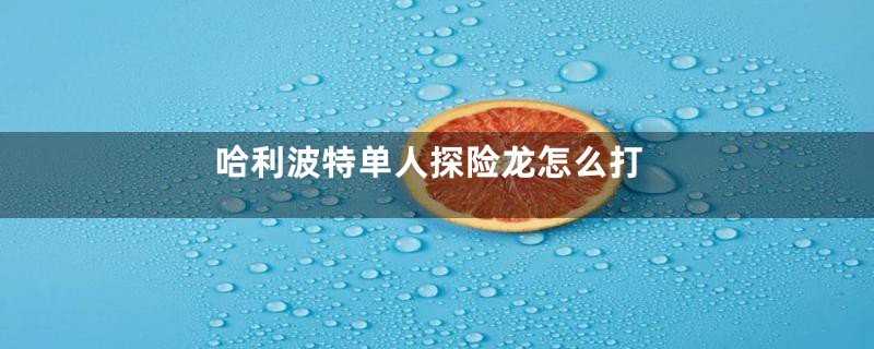 哈利波特单人探险龙怎么打