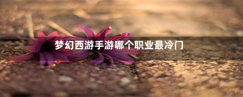梦幻西游手游哪个职业最冷门