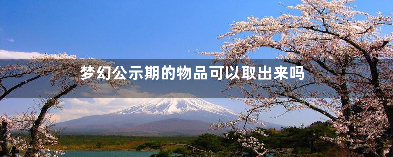 梦幻公示期的物品可以取出来吗