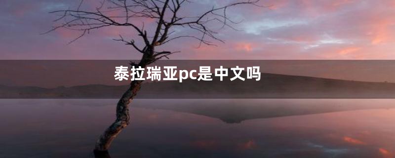泰拉瑞亚pc是中文吗