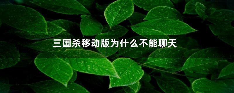三国杀移动版为什么不能聊天