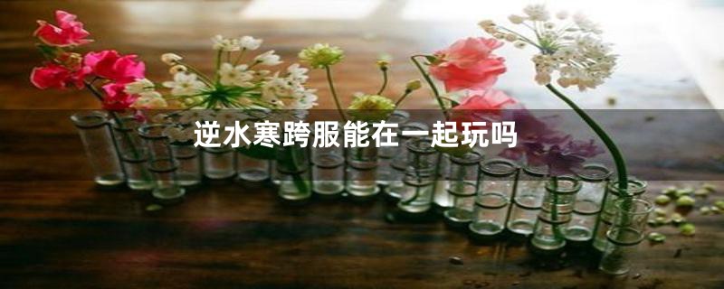逆水寒跨服能在一起玩吗