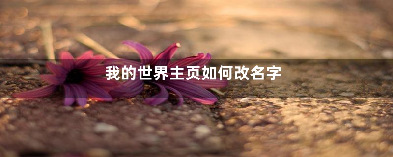 我的世界主页如何改名字