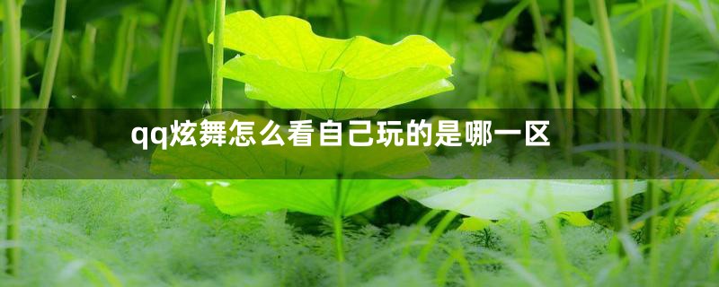 qq炫舞怎么看自己玩的是哪一区