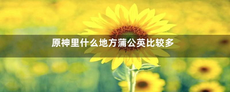 原神里什么地方蒲公英比较多