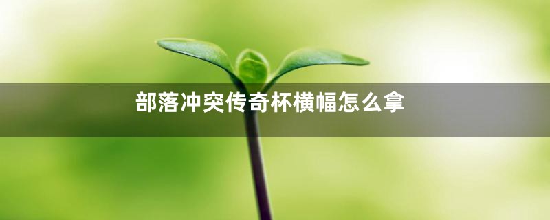 部落冲突传奇杯横幅怎么拿