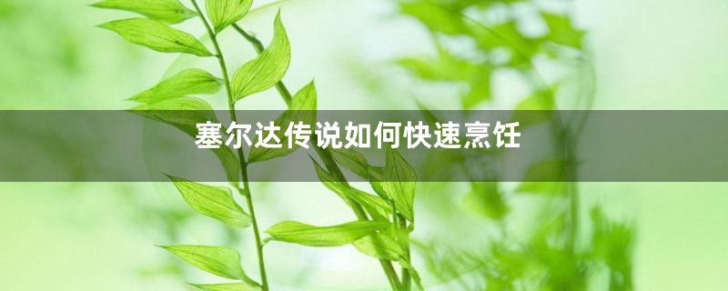 塞尔达传说如何快速烹饪
