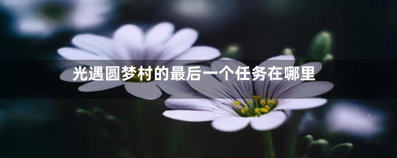 光遇圆梦村的最后一个任务在哪里