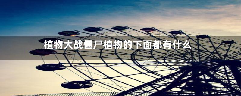 植物大战僵尸植物的下面都有什么