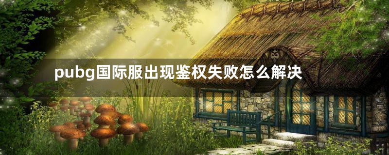 pubg国际服出现鉴权失败怎么解决