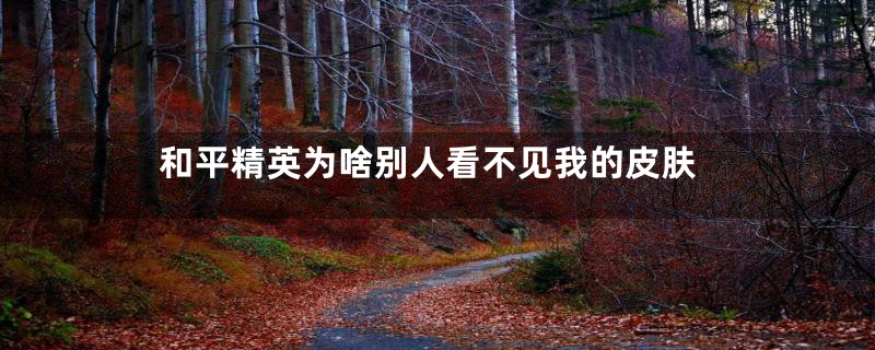 和平精英为啥别人看不见我的皮肤