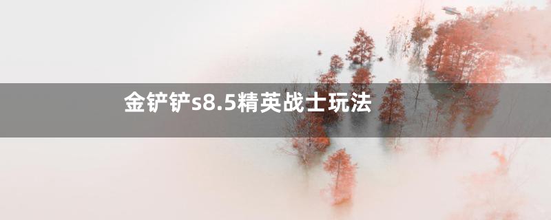金铲铲s8.5精英战士玩法