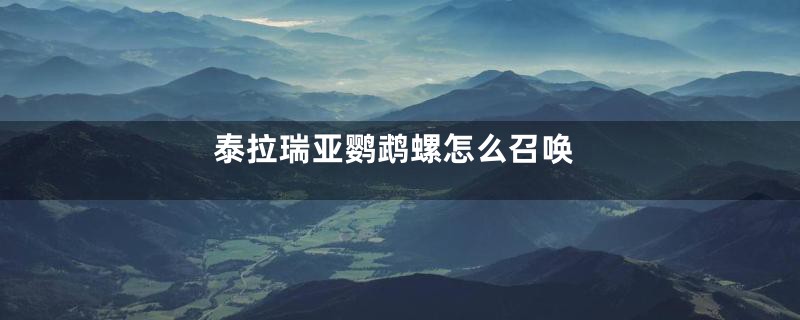泰拉瑞亚鹦鹉螺怎么召唤