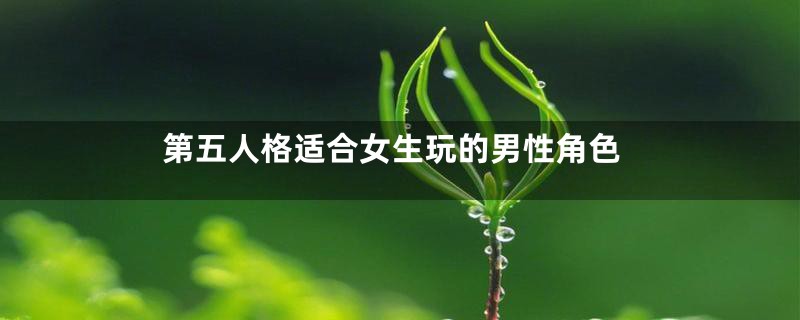 第五人格适合女生玩的男性角色