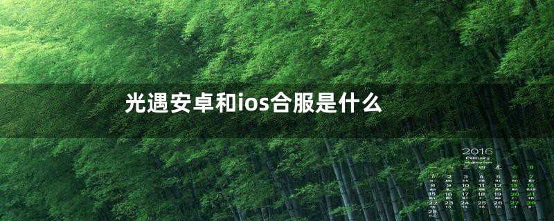 光遇安卓和ios合服是什么