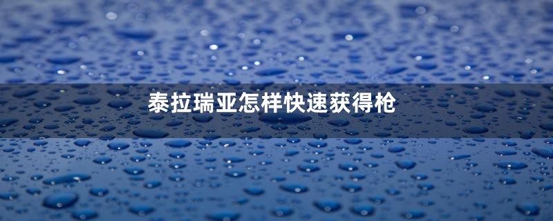 泰拉瑞亚怎样快速获得枪