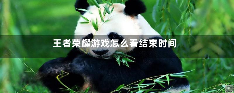 王者荣耀游戏怎么看结束时间