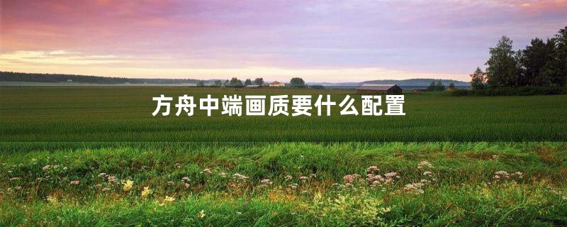 方舟中端画质要什么配置