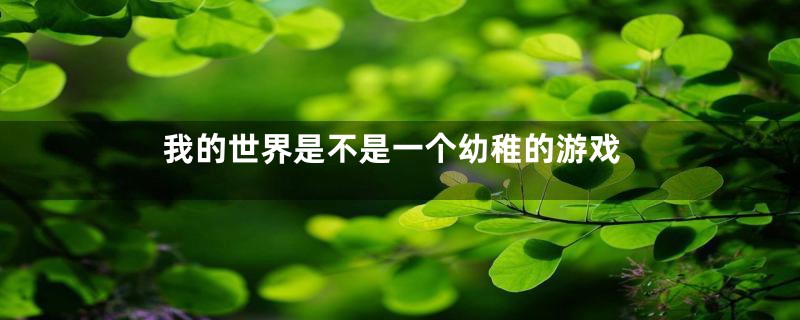 我的世界是不是一个幼稚的游戏