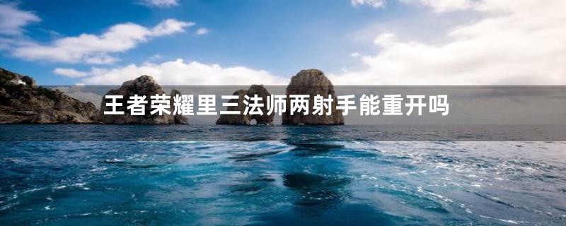 王者荣耀里三法师两射手能重开吗