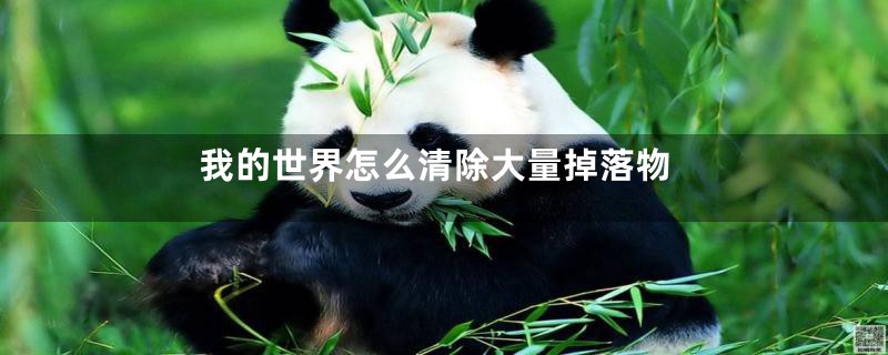 我的世界怎么清除大量掉落物