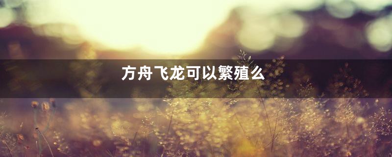 方舟飞龙可以繁殖么