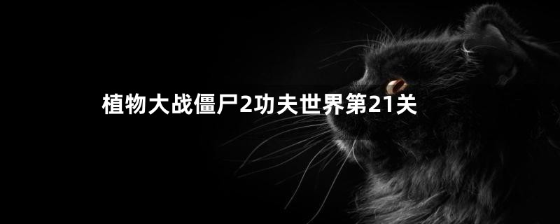 植物大战僵尸2功夫世界第21关