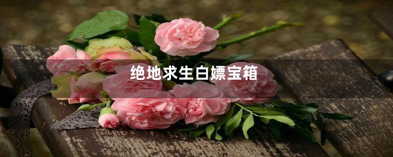 绝地求生白嫖宝箱