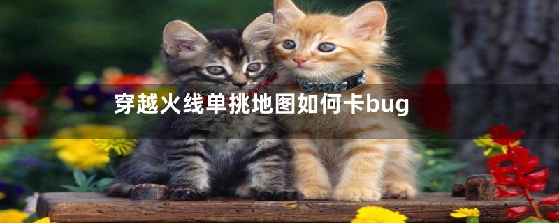穿越火线单挑地图如何卡bug