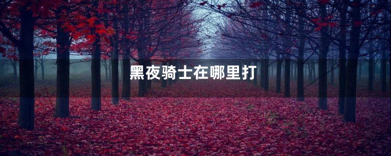 黑夜骑士在哪里打