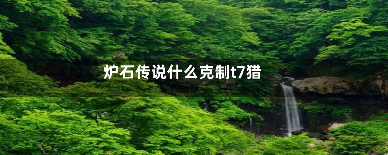炉石传说什么克制t7猎