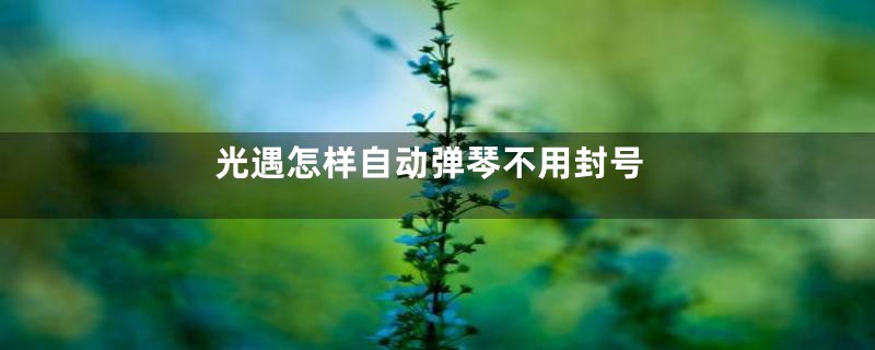 光遇怎样自动弹琴不用封号