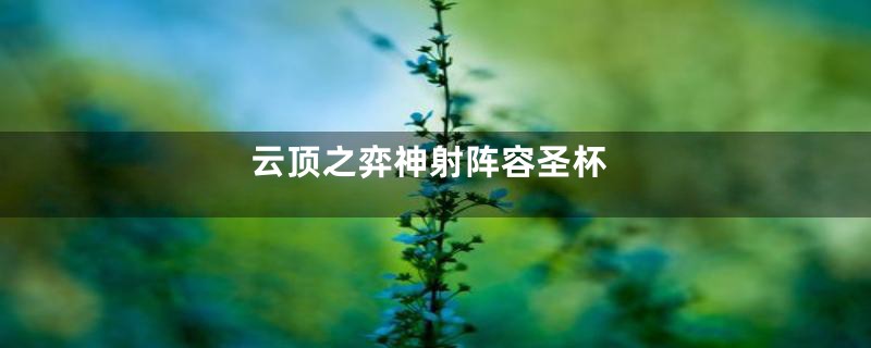 云顶之弈神射阵容圣杯