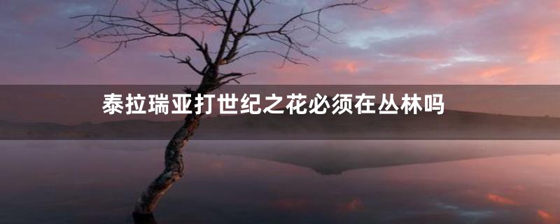 泰拉瑞亚打世纪之花必须在丛林吗