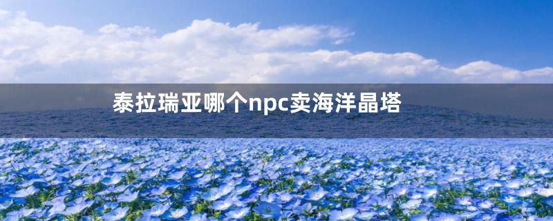 泰拉瑞亚哪个npc卖海洋晶塔