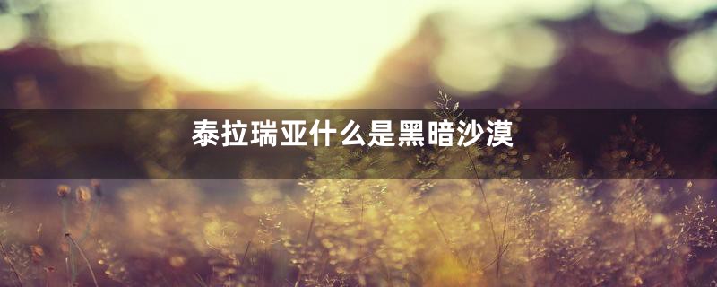 泰拉瑞亚什么是黑暗沙漠