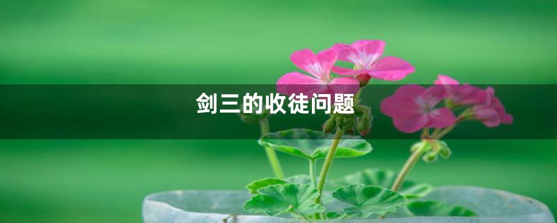 剑三的收徒问题