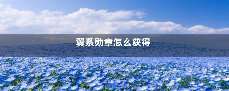 翼系勋章怎么获得