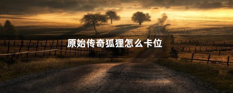 原始传奇狐狸怎么卡位