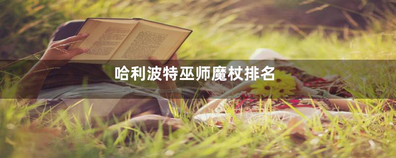 哈利波特巫师魔杖排名