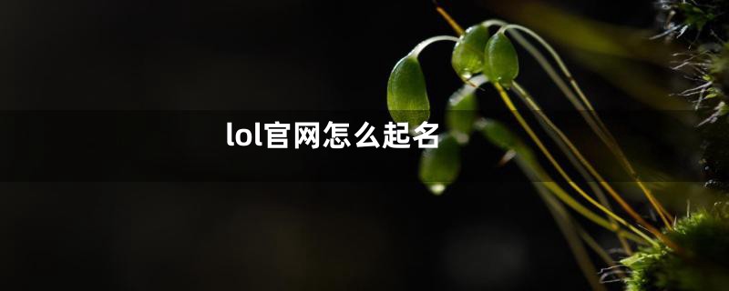 lol官网怎么起名