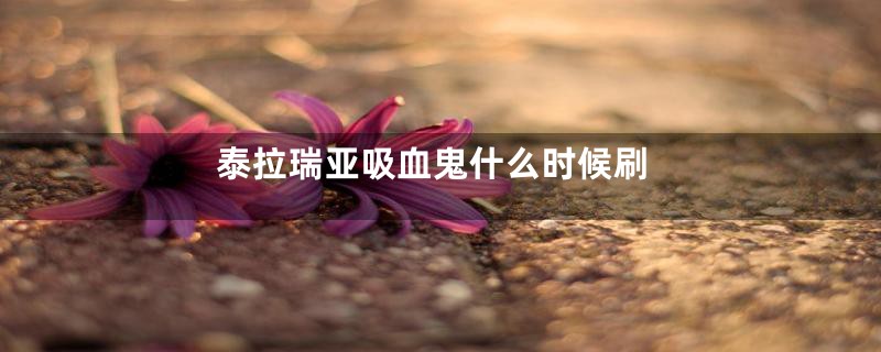泰拉瑞亚吸血鬼什么时候刷