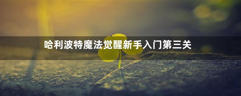 哈利波特魔法觉醒新手入门第三关