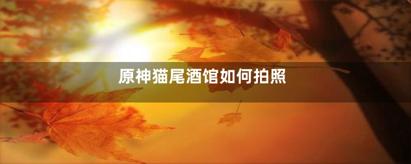 原神猫尾酒馆如何拍照